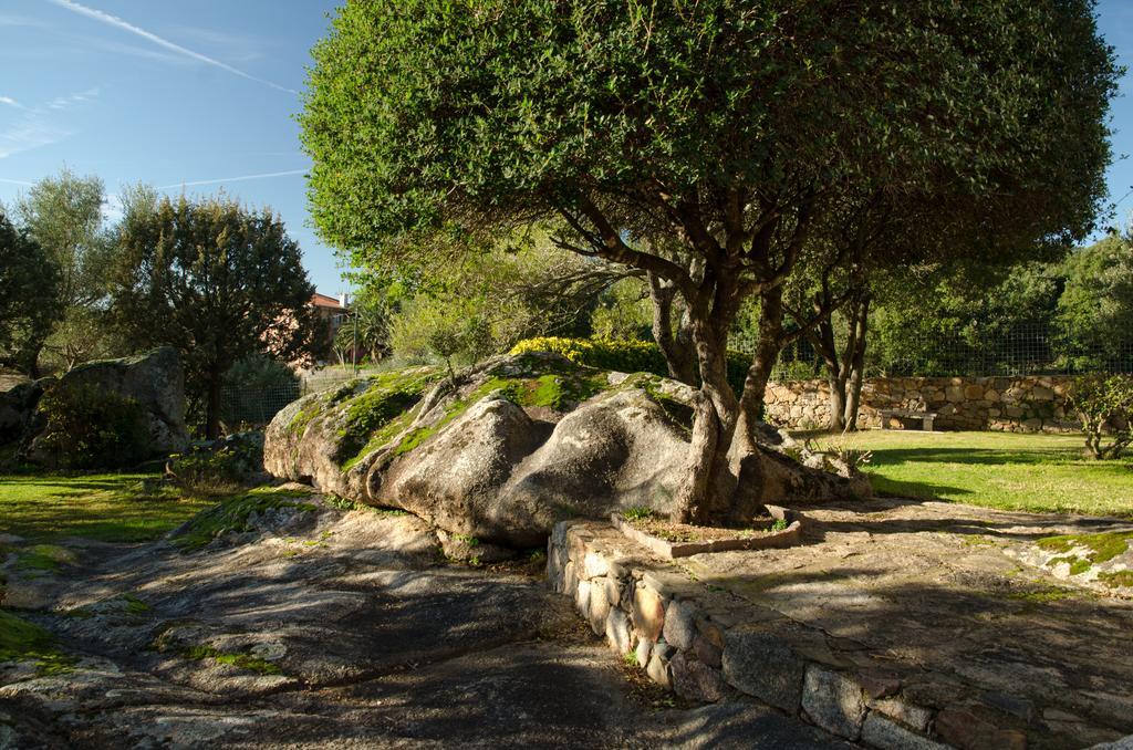 B&B Li Conchi Arzachena Bagian luar foto